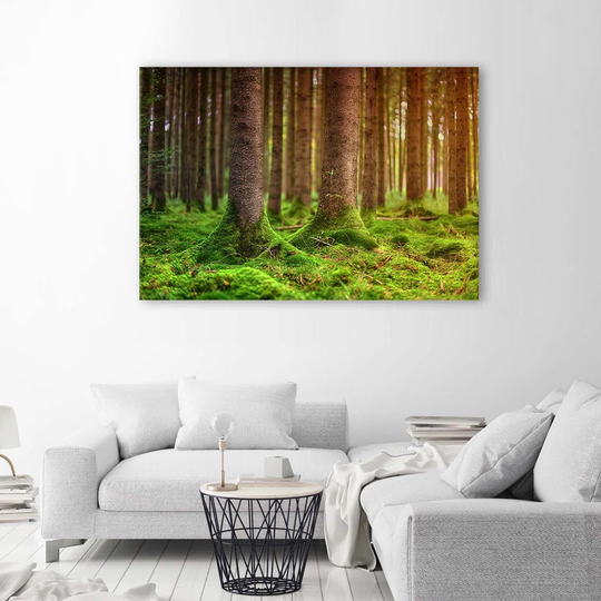 Canvas Print Trees Nature Landscape