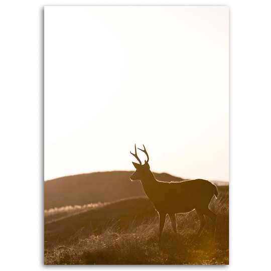 Canvas Print Deer Animals Meadow