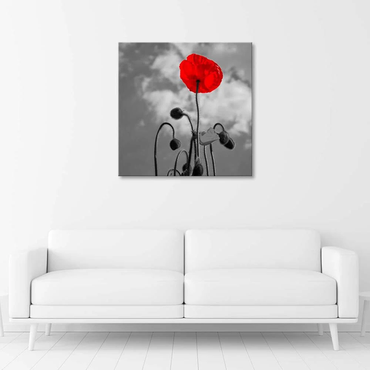 Canvas Print Red Poppy Flowers Nature
