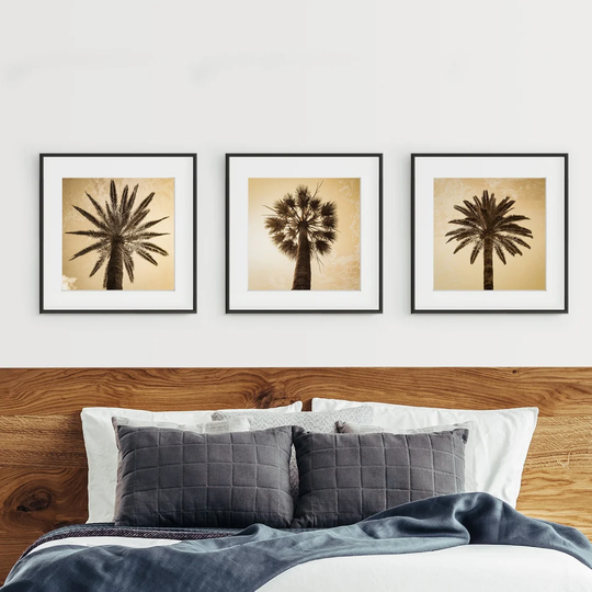 Square Palm Trees Triptych - 3 Piece Picture Frame Photograph Print Set on Paper