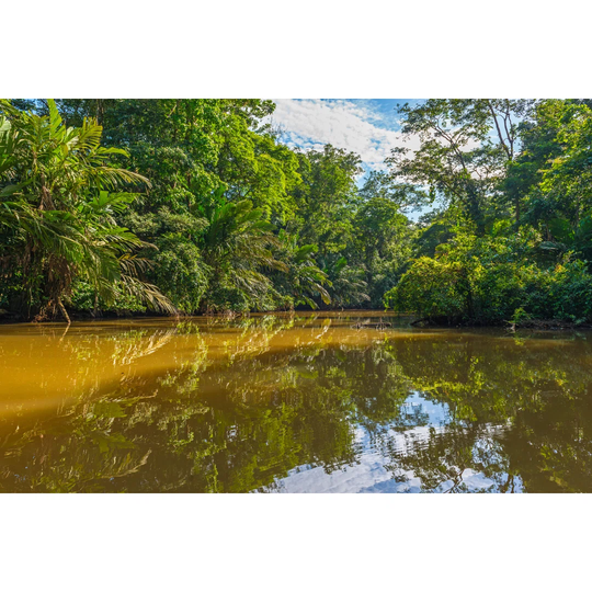 Tortuguero Canal
