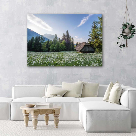 Canvas Print Landscape Mountain House