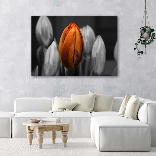 Canvas Print Tulip Orange Grey