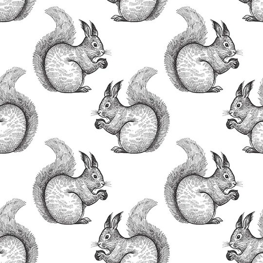 Kilkenny No Pattern And Not Solid Colour Wallpaper
