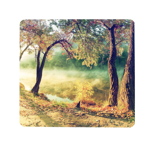 Forest Trees Magnetic Wall Mounted Board
