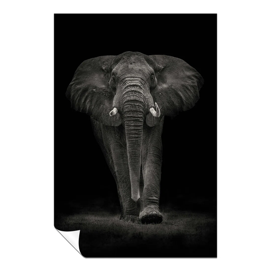 Panther Print Fine Art Prints Approaching Majestic Elephant In The Dark Artistic Unframed Poster, Pictures For Home Walls, Bedroom, Living Room & Bath