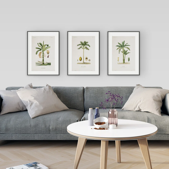 Vintage Engraving Triptych - 3 Piece Picture Frame Graphic Art Print Set on Paper