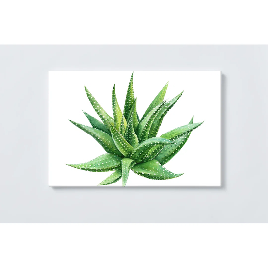 Cactus Magnetic Wall Mounted Cork Board