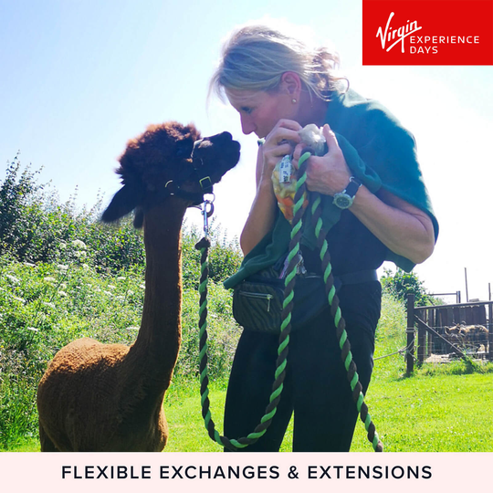 Alpaca Trekking and Entry to Eagle Heights Wildlife Foundation for Two