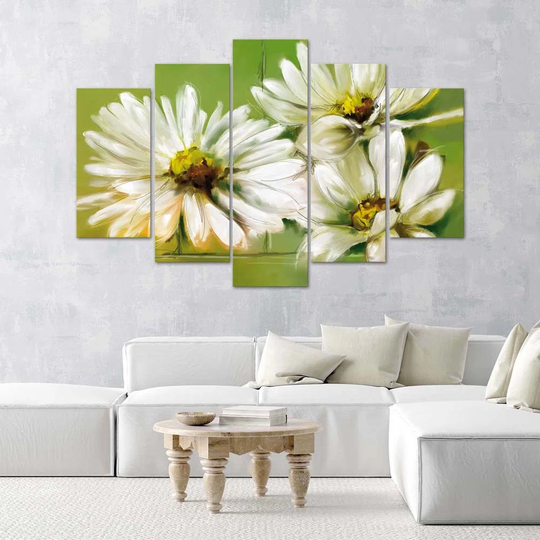 White Daisies Flowers