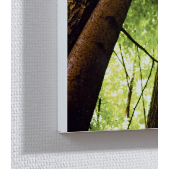 Forest Motif Magnetic Wall Mounted Cork Board