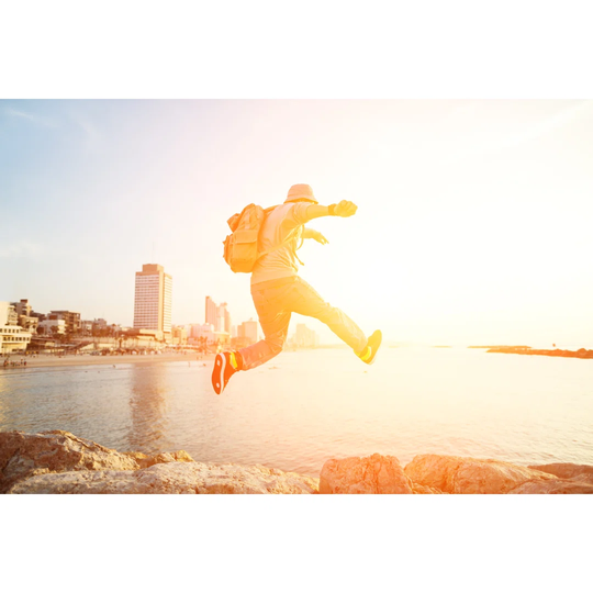 Traveller Running