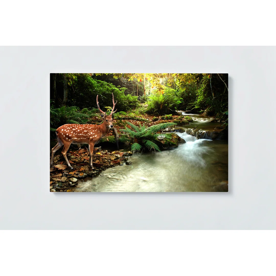 Deer in Magnetic Wall Mounted Cork Board