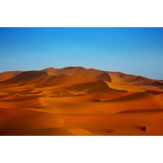 Sunset Over Sahara Desert